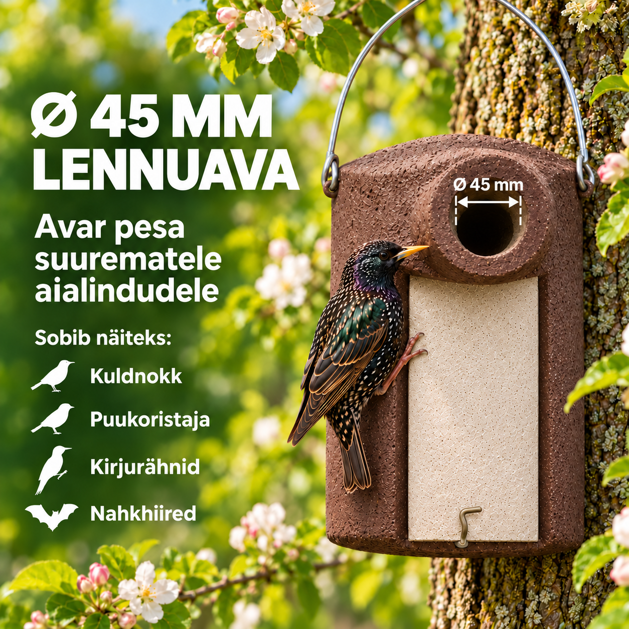 Kultasirkkujen pesälaatikko 3SV - turvakäytävällä varustettuna