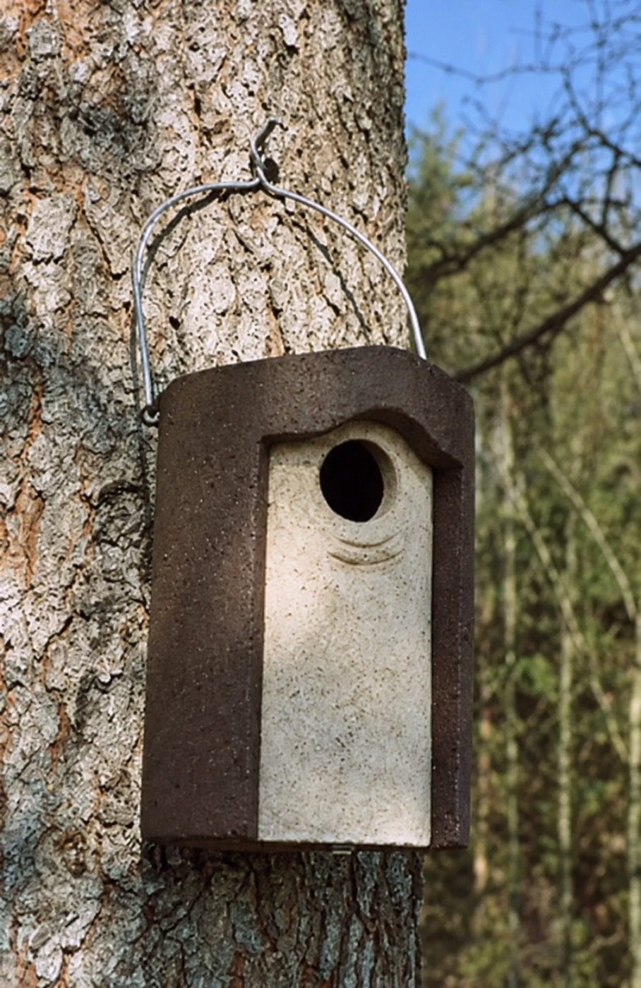 Kultainen nenäpesälaatikko 3S