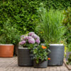 UUS! Isekastev taimekonteiner Berberis 46- anthracite+ivory 32+12L