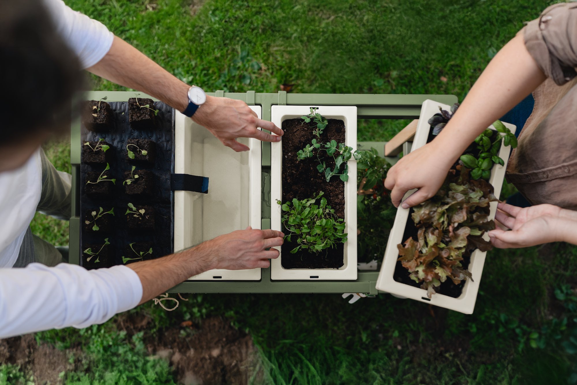 UUS! Istutuslaud- tööpind taimede istutamiseks või grillimiseks- Tutvumishind ettetellijatele!