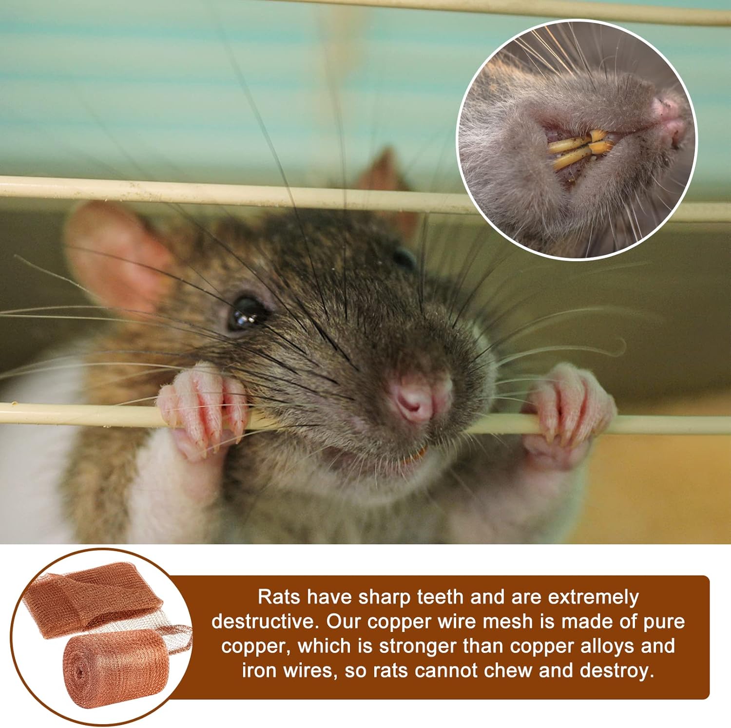 Kahekihiline vasest võrksukk nälkjate ja tigude vastu 127mm x 6m