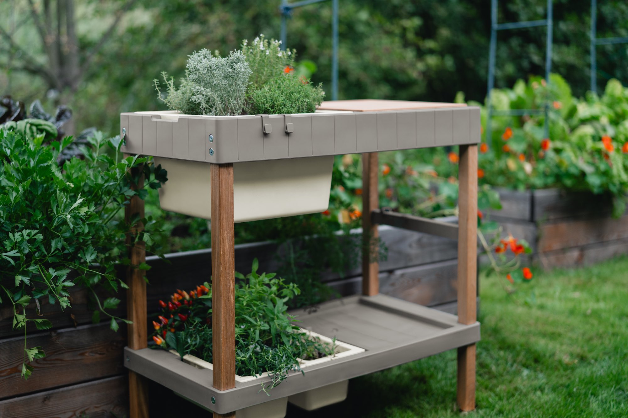 UUS! Istutuslaud- tööpind taimede istutamiseks või grillimiseks- Tutvumishind ettetellijatele!