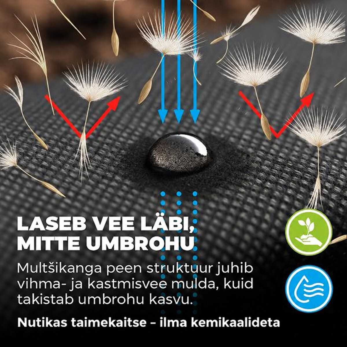 Multšikangas Premium 100 g/m², 1,6 × 5 m