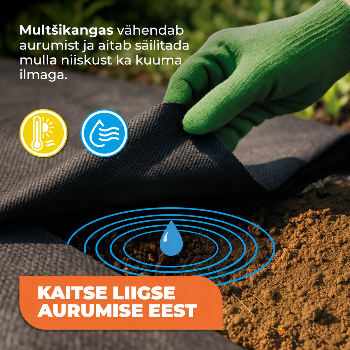 Multšikangas Premium 100 g/m², 1,6 × 5 m
