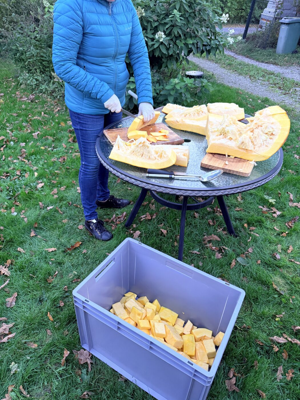Kõrvitsamahl õuntest ja kõrvitsast mahlapressiga