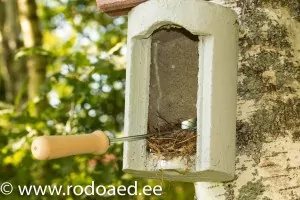Pesakasti hooldamine – vana pesamaterjali eemaldamine kaabitsaga