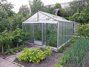 kasvuhoone_2