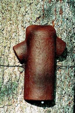 porri-pesakast_2BN_143_01