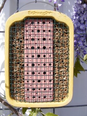 rusty-and-clay-water-house_377_06