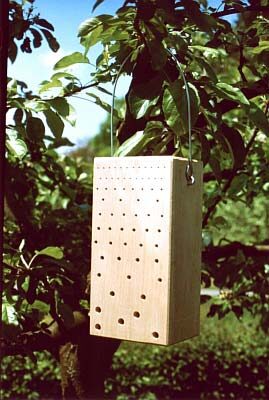 puidust-putukate-hotell_370_01