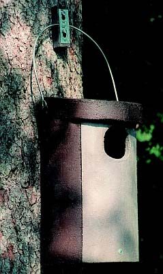 kakuliste-pesakast-nr4_171_01