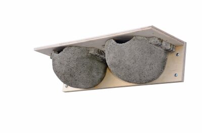 räästapääsukuse-pesa_9B_312_01