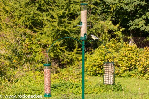 Linnan ruokailijat-3