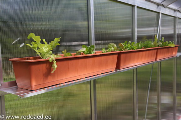 kasvihuone-hylly_1