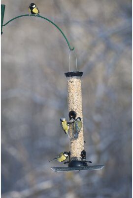 Linnan ruokasalin jalat