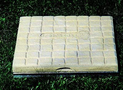 Naturewatcher's stepping stone_1