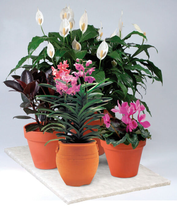 Holiday-Watering-mat