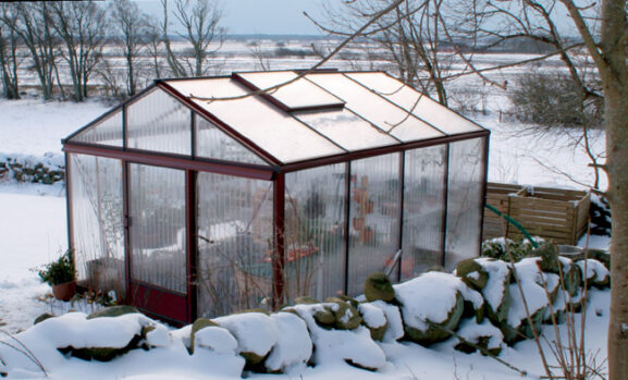 kasvihuone_trooppinen_maxi_3