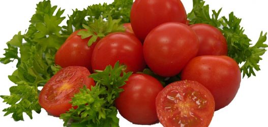 tomati kasvatamine kasvuhoones