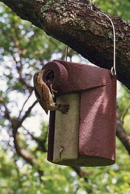 hive_box_3SV_for_turned_necks