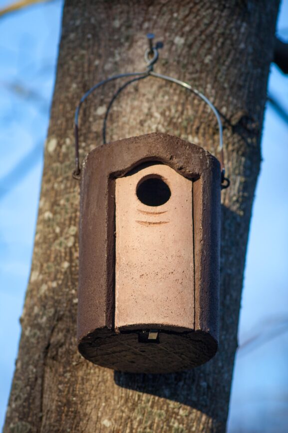 harrastepuutarhapesät