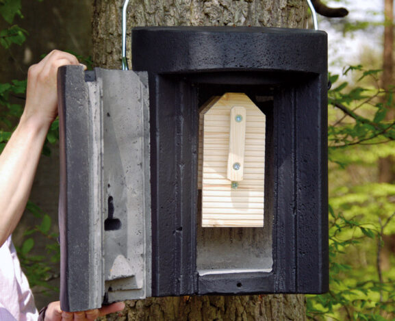 lepakon talvehtimislaatikko 1FW_02