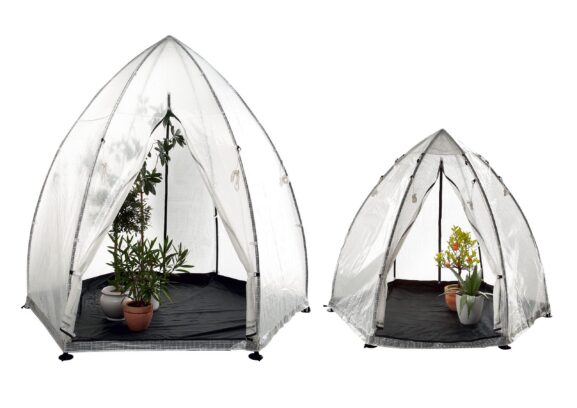 kasvihuone_Trooppinen saari L_03