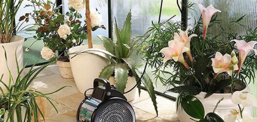 kasvuhoone soojapuhur Palma