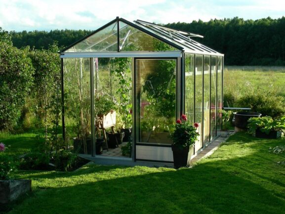 Kasvihuone Maxi