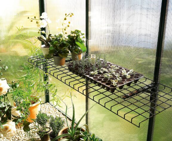 kasvihuonehylly Bruno_02