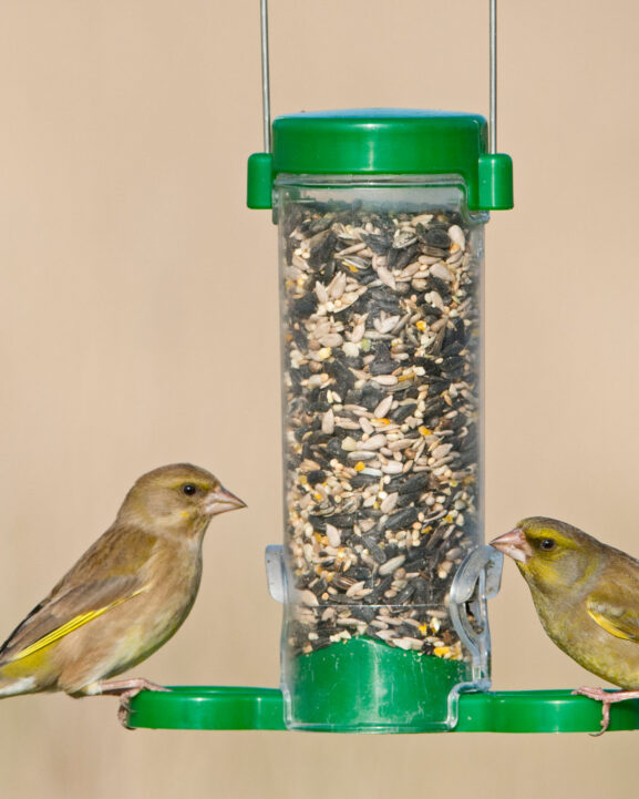 castle-diner_get-set-go_03