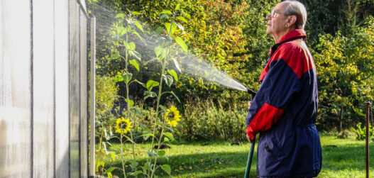kasvuhoone hooldustööd sügisel