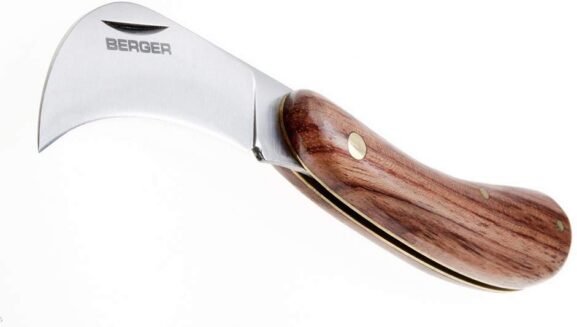 Berger aianuga_3905_3