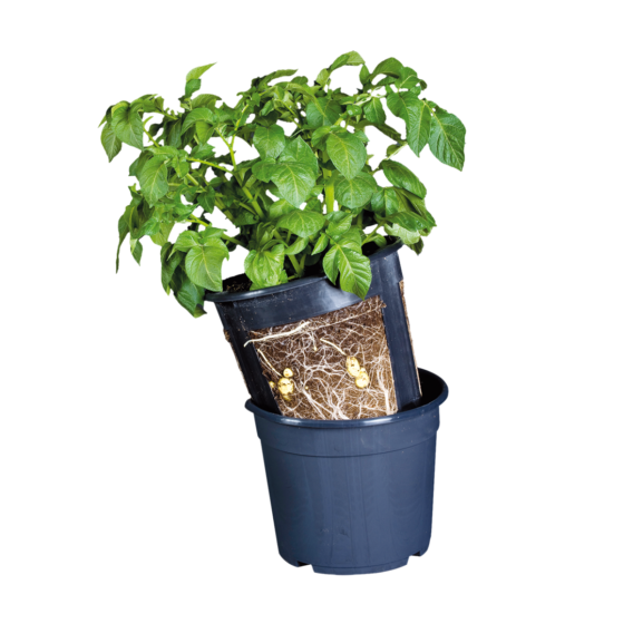 Peruna-ämpäri_B1014_01