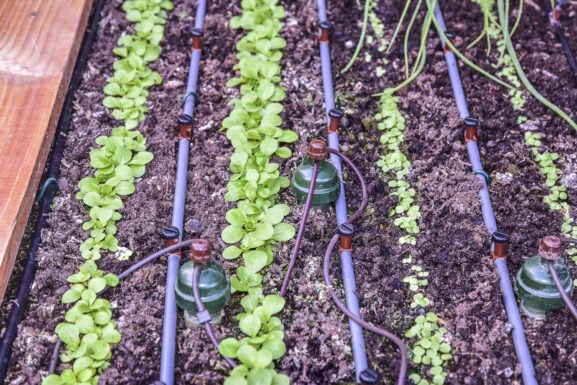 Onttojen sänkyjen kastelujärjestelmä-19_04