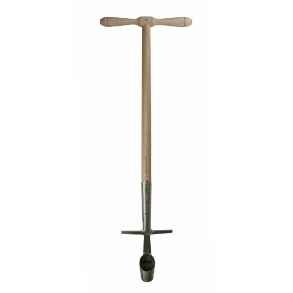 Suuri Dixter tulppaanisipuli istutin