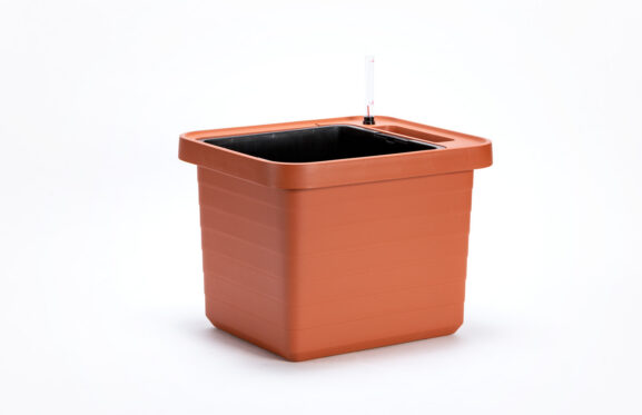 Kasvatusastia Berberis_04