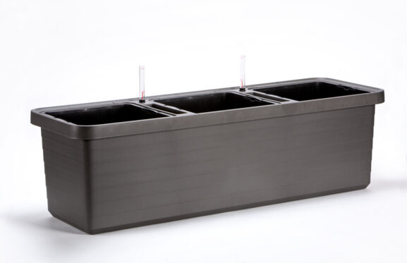 Kasvatusastia Berberis_030