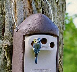 pesakasti paigaldamine