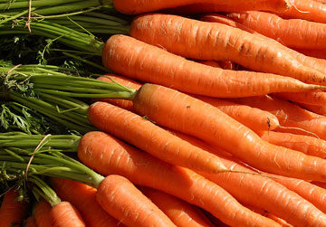 porgandi kasvatamine