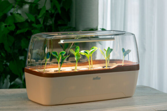 minikasvuhoone_16294398_b_web