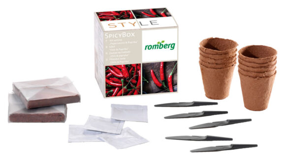 külvikomplekt_Spicy_16291498_web