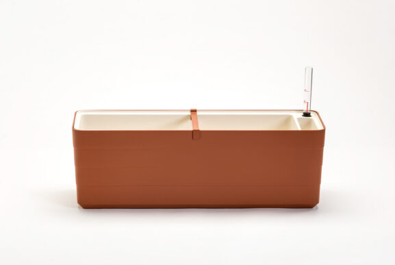 Taimekonteiner Berberis 60_1909746003_1