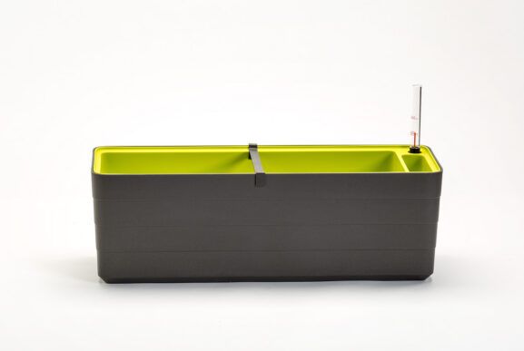 Taimekonteiner Berberis 60_1909746024_1