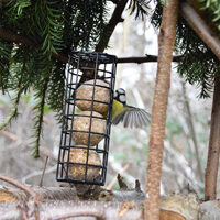 rasvapallon syöttölaite