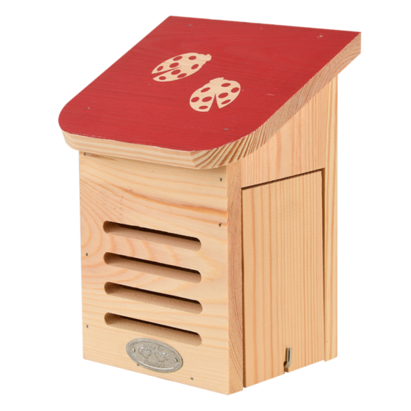 hyönteiset hotel_lepatriinumaja