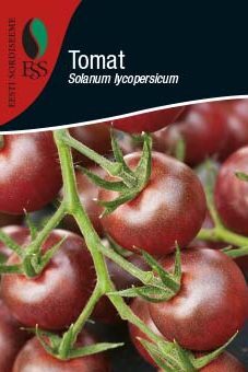 tomatiseedned_Black Cherry