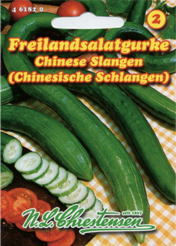 Kurk kiinalainen slangi