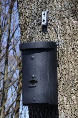 lepakkoyhdyskunnan pesäkotelo_summer_133_12