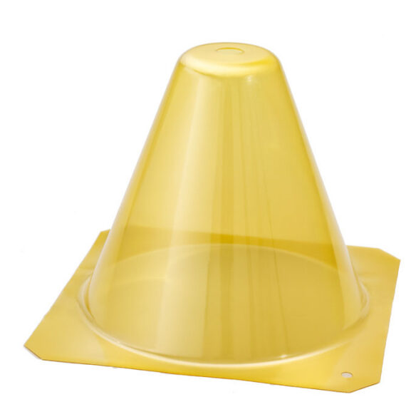 plant_cover_10295002_1